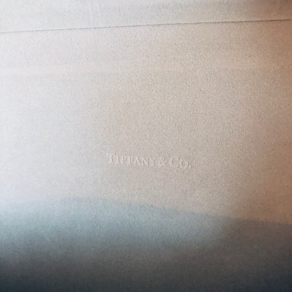 ?Brand New Tiffany & Co. Sunglasses Case Kit main image 4